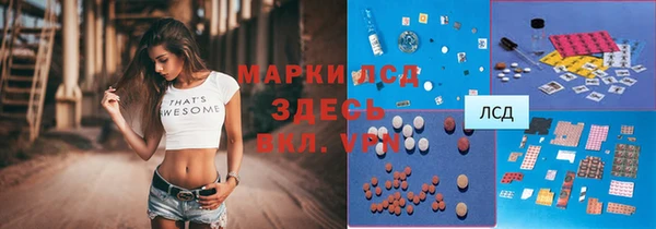 прущие грибы Киреевск