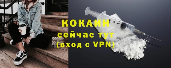 прущие грибы Киреевск