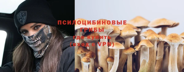 прущие грибы Киреевск